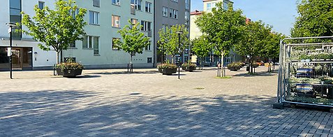 Bild på torget där det finns blommor i urnor, träd och i bakgrunden syns bostadshus.